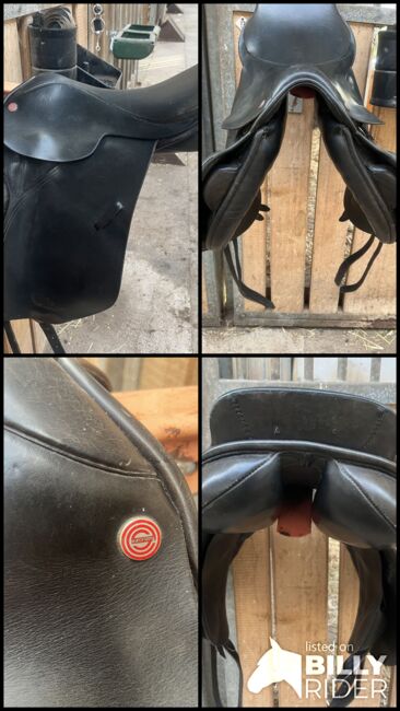 Euroriding Springsattel, Euroriding  Diamond , Alina, Jumping Saddle, Heilbad Heiligenstadt , Image 5