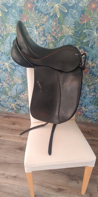 Euroriding Luxor, Euroriding Luxor, Ann-Kathrin Bergmann, Dressage Saddle, Maulbronn, Image 4