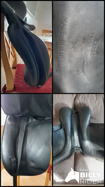 Euroriding Luxor Dressursattel, Euroriding Luxor, Susi Sonnenschein, Dressage Saddle, Eibelstadt, Image 17