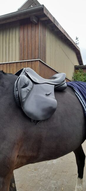 Euroriding Luxor Springsattel, Euroriding  Luxor, Bastian, Jumping Saddle, Altlandsberg , Image 3