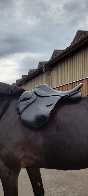 Euroriding Luxor Springsattel, Euroriding  Luxor, Bastian, Jumping Saddle, Altlandsberg , Image 2