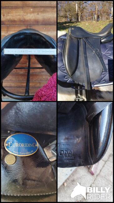 Euroriding Opal Dressage, Euroriding  Opal Dressage, Sylvia Lamprecht , Dressage Saddle, Bad Gleichenberg, Image 15