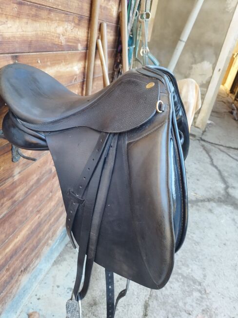 Euroriding Opal Dressage, Euroriding  Opal Dressage, Sylvia Lamprecht , Dressage Saddle, Bad Gleichenberg, Image 10