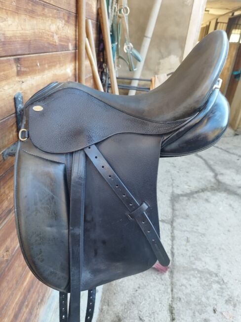 Euroriding Opal Dressage, Euroriding  Opal Dressage, Sylvia Lamprecht , Dressage Saddle, Bad Gleichenberg, Image 13