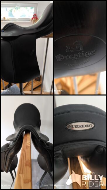 Euroriding/ Prestige Emilio, Euroriding /Prestige  Emilio, Daniela Träger , Dressage Saddle, Wunsiedel, Image 8