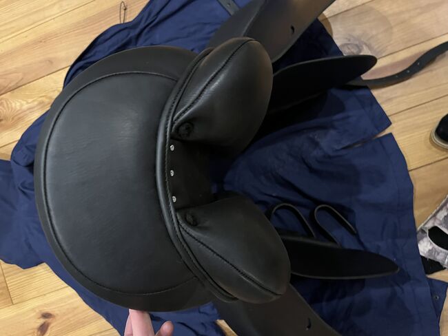 Dressursattel Euroriding Remus *neu*, Euroriding Remus, Rieke, Dressage Saddle, Nörten-Hardenberg, Image 17