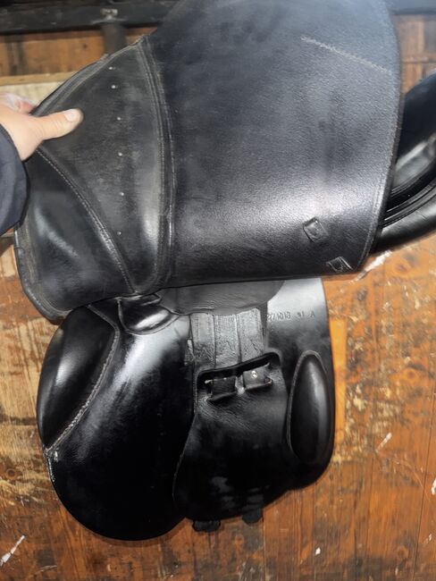 Euroriding Roberto 17/32N7G – Schwarz (Nero), Euroriding Roberto Euroriding Roberto 17/32N7G, Chereese , Jumping Saddle, Wurster Nordseeküste , Image 5