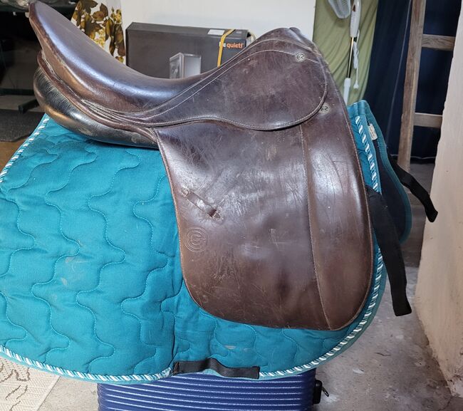 Euroriding Rubin mittlerer Kammer  VSD, Euroriding  Rubin, Denise, All Purpose Saddle, Niedergebra