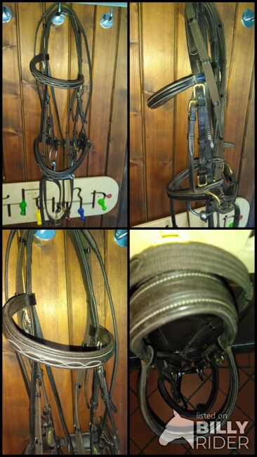 Euroriding Trense Englisch kombiniert WB braun, Euroriding Englisch kombiniert, Vanessa , Bridles & Headstalls, Schermbeck, Image 5