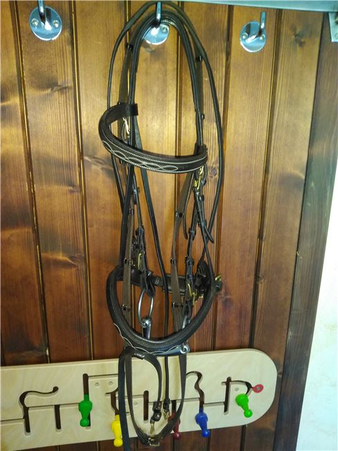 Euroriding Trense Englisch kombiniert WB braun, Euroriding Englisch kombiniert, Vanessa , Bridles & Headstalls, Schermbeck