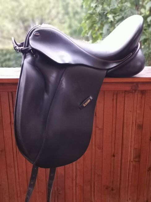 Euroriding Luxor, Euroriding  Luxor, Vanessa Knickelmann , Dressage Saddle, Möhnesee 