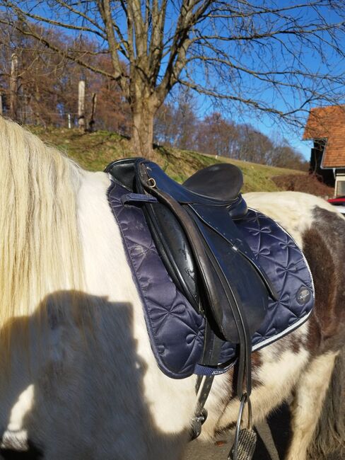 Euroriding Opal Dressage, Euroriding  Opal Dressage, Sylvia Lamprecht , Dressage Saddle, Bad Gleichenberg, Image 8