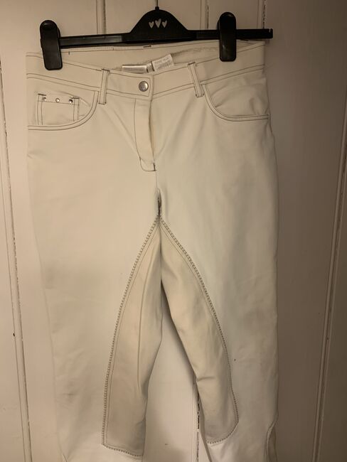 Eurostar breeches size 28, Eurostar, Kelly, Breeches & Jodhpurs, Downton on the Rock, Image 4