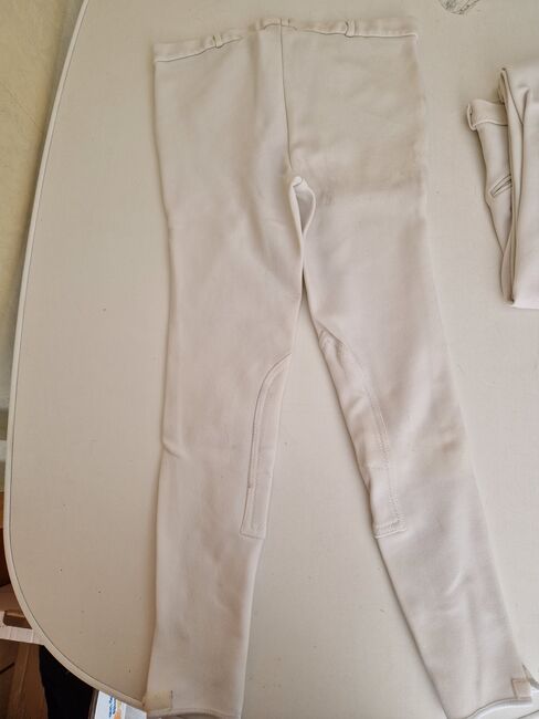 Eurostar Reithose Gr. 52, Euro Star, Julia , Men's Breeches & Jodhpurs, Oberzent , Image 2