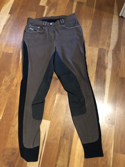 Reithose Vollbesatz von Eurostar in brau, Größe 36, Eurostar , Emilie Weydert , Breeches & Jodhpurs, Kenn