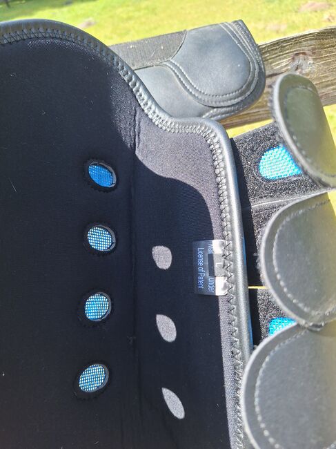 Eventing gamaschen, Premier equine  Eventing boots , Larissa gehrke , Tendon Boots, Soltau, Image 5