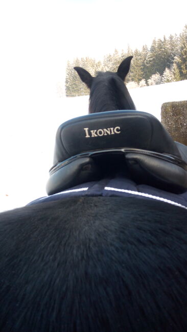 Vielseitigkeitssattel schwarz Ikonic, Ikonic Ikonic Pro Evolution J01, Susanne, All Purpose Saddle, Linz, Image 3