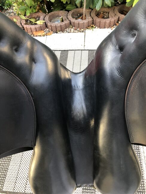 Vielseitigkeitssattel, Busse , Heinemann Ewelina , All Purpose Saddle, Warmsroth , Image 2