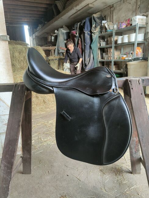 Vielseitigkeitsattel Busse Solibel Genf 17', Busse  Solibel Genf , Charlize , All Purpose Saddle, Großlangheim, Image 2