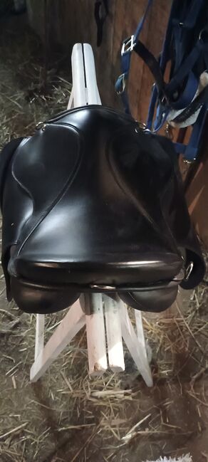 Vielseitigkeitssattel - NEU - Breite Kammer Haflinger/Kaltblut co., Kristin Hilf , All Purpose Saddle, Pommelsbrunn, Image 3