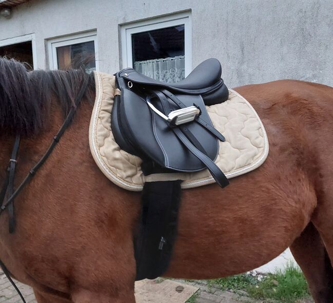 Vielseitigkeitssattel 17,5 von Waldhausen Economic, Waldhausen , Teresa , All Purpose Saddle, Garz 