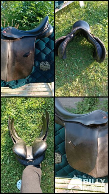 Vielseitigkeitssattel, Jorge Canaves , Jp, All Purpose Saddle, Holzminden, Image 6