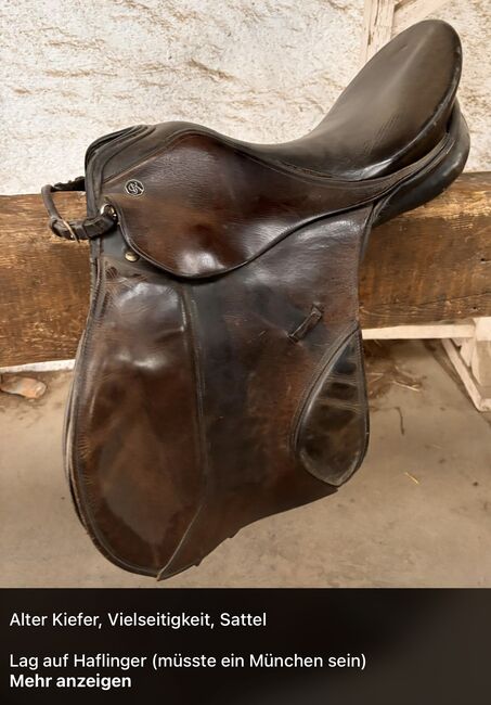 Vielseitigkeitsattel, Kiefer München, Adriane Schmedemann Reitschule, All Purpose Saddle, Schonstett 