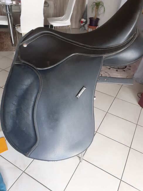 Vielseitigkeitssattel, Wintec Wintec 500, Anita Hackl, All Purpose Saddle, Viernheim