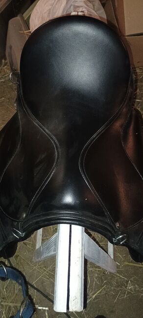 Vielseitigkeitssattel - NEU - Breite Kammer Haflinger/Kaltblut co., Kristin Hilf , All Purpose Saddle, Pommelsbrunn, Image 9