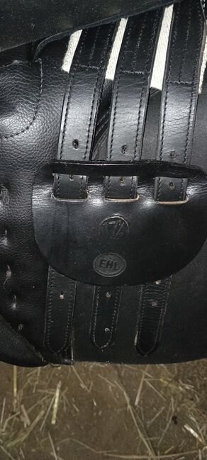 Vielseitigkeitssattel - NEU - Breite Kammer Haflinger/Kaltblut co., Kristin Hilf , All Purpose Saddle, Pommelsbrunn, Image 7