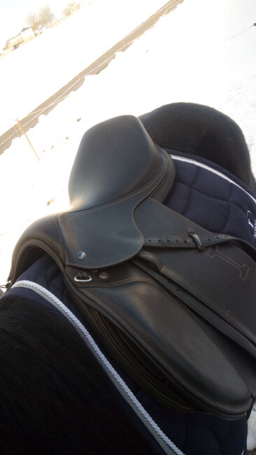 Vielseitigkeitssattel schwarz Ikonic, Ikonic Ikonic Pro Evolution J01, Susanne, All Purpose Saddle, Linz, Image 2