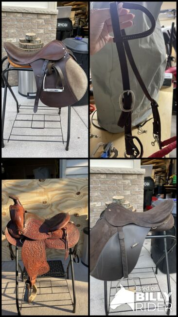 Everything you’d ever need!!, Isabella Phelps, For Horses, isanti, Image 15