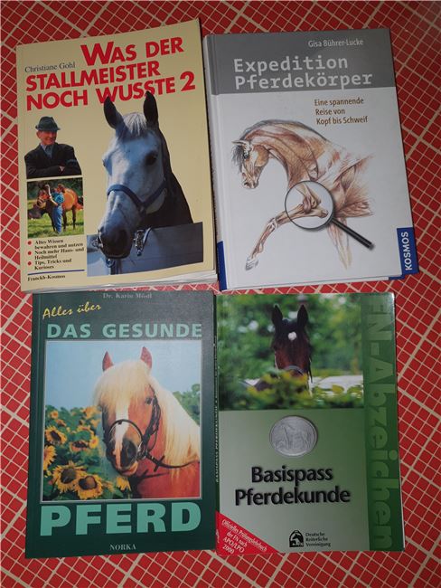 Expedition Pferdekörper, Nana , Bücher, 65468