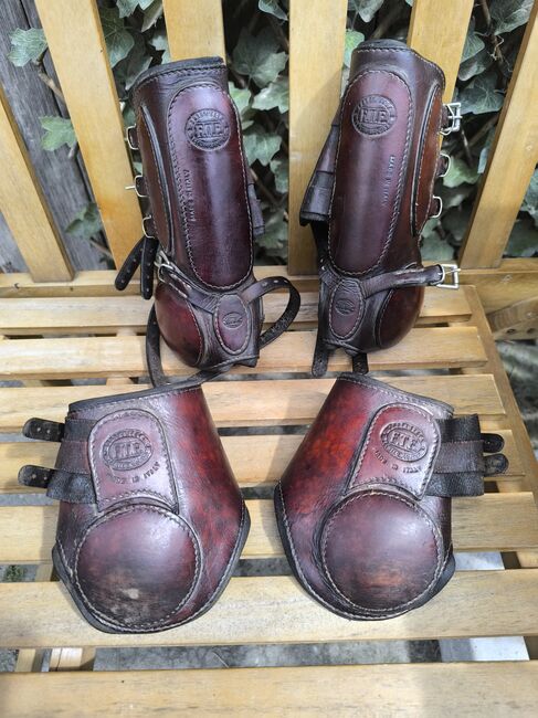 F.T.E. Ledergamaschen, F.T.E. , Zuchthof , Tendon Boots, Twistringen 
