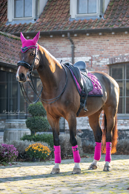 Faded Fuchsia Dressurschabracke, Springschabracke, Equestrian Stockholm, KKressing Boutique (K & K Glitter Saddlery), Dressage Pads, Bovenden, Image 3