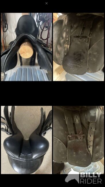 Vielseitigkeits Sattel Euroriding, Euroriding Euroriding Jade, Lena Vater, All Purpose Saddle, Pregarten, Image 10