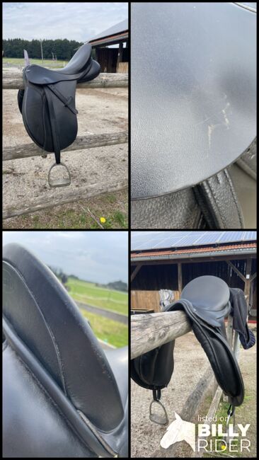 Vielseitigkeitssattel Euroriding 16,5 Zoll + Sattelgurt, Euroriding, Sophia, All Purpose Saddle, Straßlach-Dingharting , Image 6