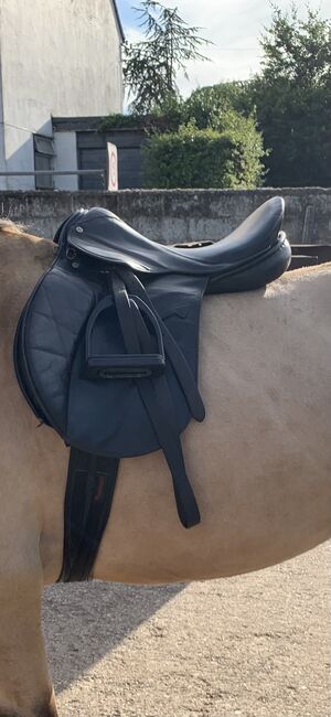 Falcon GP 17/17.5” dark brown/black Saddle, Falcon , Sam Crockett , All Purpose Saddle, Dunstall Green, Image 7