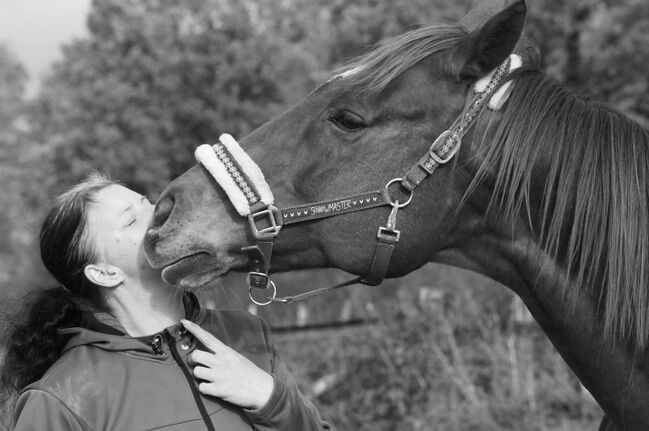 Familiengeeignete Vollblutstute, Katharina Lehmann (Pferdevermittlung Leus), Pferd kaufen, Zarrentin