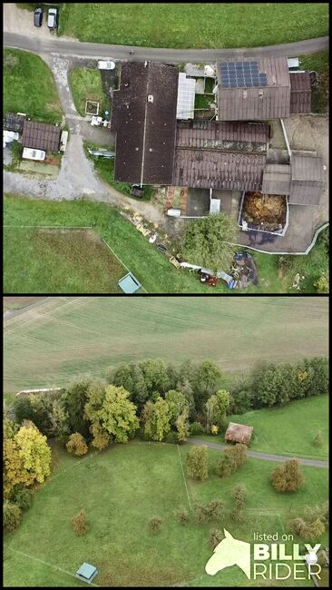 Traumhaftes Reitanwesen in idyllischer Lage nahe der Schweizer Grenze, Enders und Partner Immobilien, Claire Findling (Enders und Partner Immobilien), Equestrian Properties, Stühlingen, Image 11