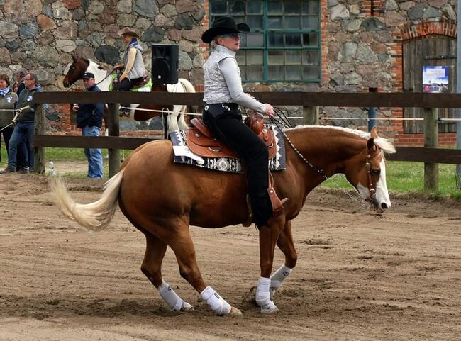 Traumhafte, erfolgreich geshowte Quarter Horse Stute, Kerstin Rehbehn (Pferdemarketing Ost), Horses For Sale, Nienburg, Image 3