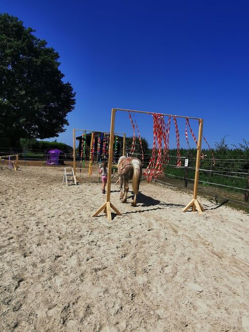 Traumhaftes Haus mit Pferdehaltung, Reitplatz & Einliegerwohnung, Wilms, Equestrian Properties, Schwalmtal, Image 3