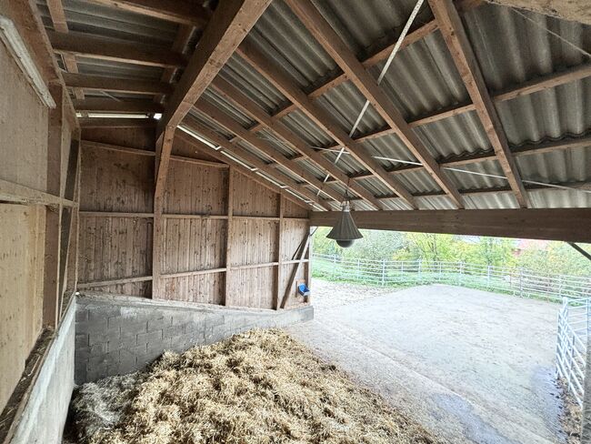 Traumhaftes Reitanwesen in idyllischer Lage nahe der Schweizer Grenze, Enders und Partner Immobilien, Claire Findling (Enders und Partner Immobilien), Equestrian Properties, Stühlingen, Image 8