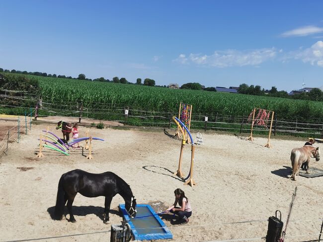 Traumhaftes Haus mit Pferdehaltung, Reitplatz & Einliegerwohnung, Wilms, Equestrian Properties, Schwalmtal, Image 11