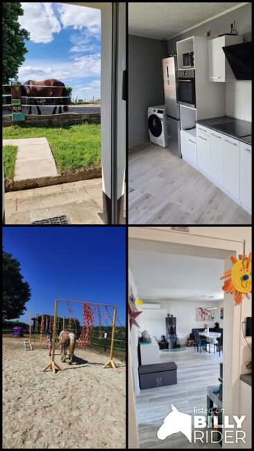 Traumhaftes Haus mit Pferdehaltung, Reitplatz & Einliegerwohnung, Wilms, Equestrian Properties, Schwalmtal, Image 24