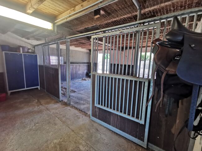 Traumhaftes Haus mit Pferdehaltung, Reitplatz & Einliegerwohnung, Wilms, Equestrian Properties, Schwalmtal, Image 14