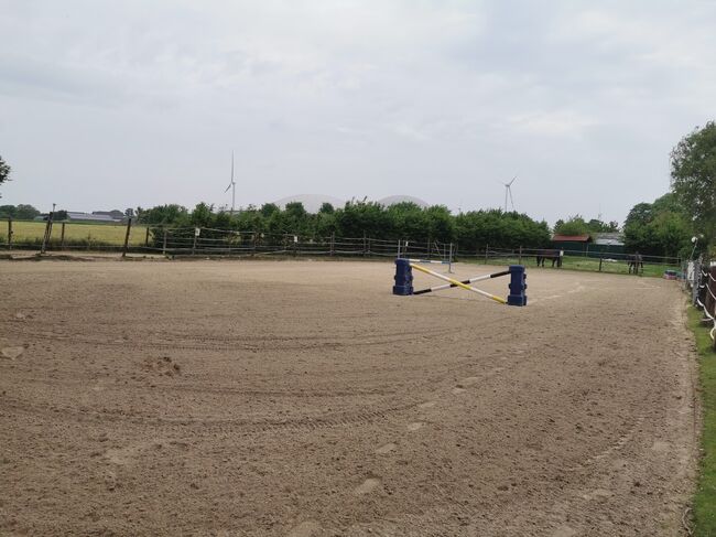 Traumhaftes Haus mit Pferdehaltung, Reitplatz & Einliegerwohnung, Wilms, Equestrian Properties, Schwalmtal, Image 15