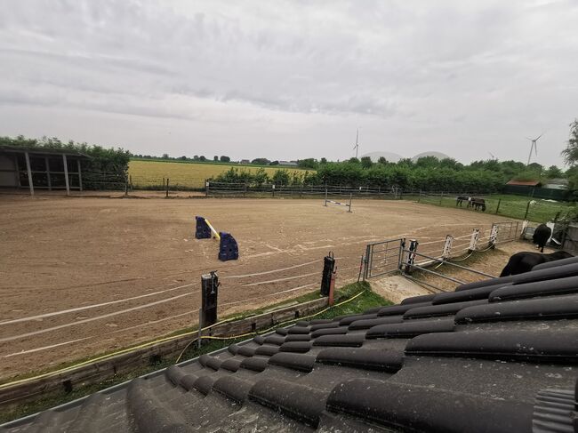 Traumhaftes Haus mit Pferdehaltung, Reitplatz & Einliegerwohnung, Wilms, Equestrian Properties, Schwalmtal, Image 19
