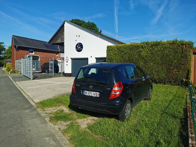Traumhaftes Haus mit Pferdehaltung, Reitplatz & Einliegerwohnung, Wilms, Nieruchomości jeździeckie, Schwalmtal, Image 10