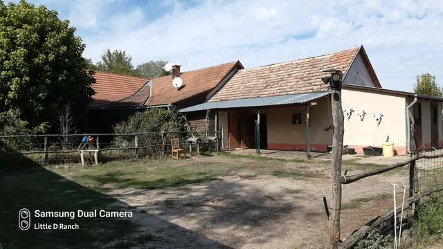 Bauernhaus mitten im Wald fur pferdehaltung in Ungarn, Bianca Drenth, Equestrian Properties, Szentkirály